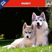 Kalender Siberian Husky 2018 - Affixe Editions - voorblad