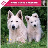 Kalender Zwitserse Witte Herdershond 2016
