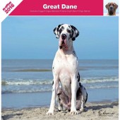 Kalender Deense Dog / Duitse Dog 2016