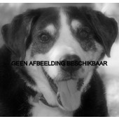 The Bernese Mountain Dog Annual 1997 - Hoflin Dog Books