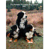 The Bernese Mountain Dog Annual 1999 - Hoflin Dog Books