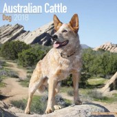 Kalender Australian Cattle Dog 2018 - Avonside Publishing - voorblad