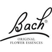 Bach Bloesemremedie (stock bottle)