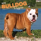 Kalender Engelse Bulldog Puppies 2018 - BrownTrout - voorblad