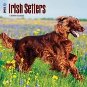 Kalender Ierse Setter 2018 - BrownTrout - voorblad