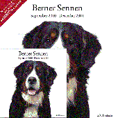 Kalender Berner Sennenhond 2011 - met gratis minikalender
