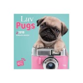 Kalender Luv Pugs 2018 - Studio Pets by Myrna - voorblad